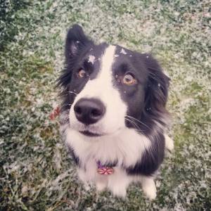 23735990_1470534909724296_3889321439044316590_o